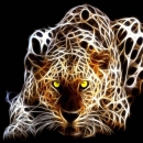 cricri6266