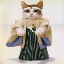 nihonhasugoi